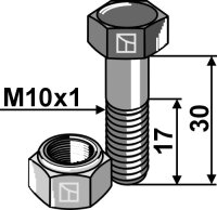 Schraube mit Sicherungsmutter M10x1x30 10.9