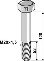 Schraube M20x15 Passend für Berti V201204PF109N