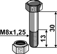 Schraube mit Sicherungsmutter M8x125 10.9 Passend...