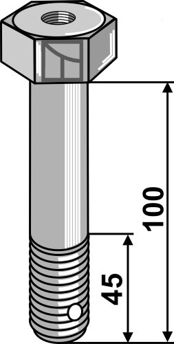Schraube M20