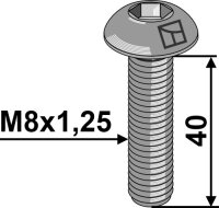 Flachrundschraube mit Innensechskant