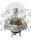 Glühlampe