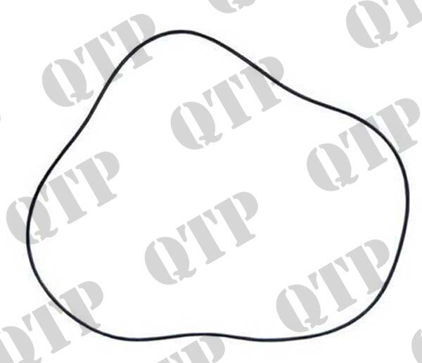 Drehmomentwandler-O-Ring