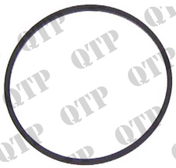 Steuermotor O-Ring