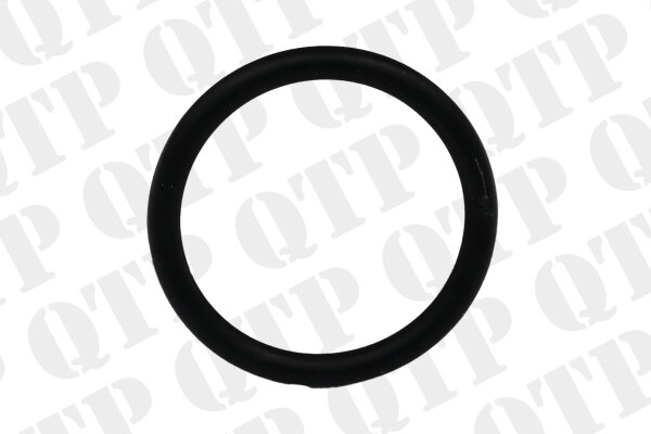 O-Ring New Holland