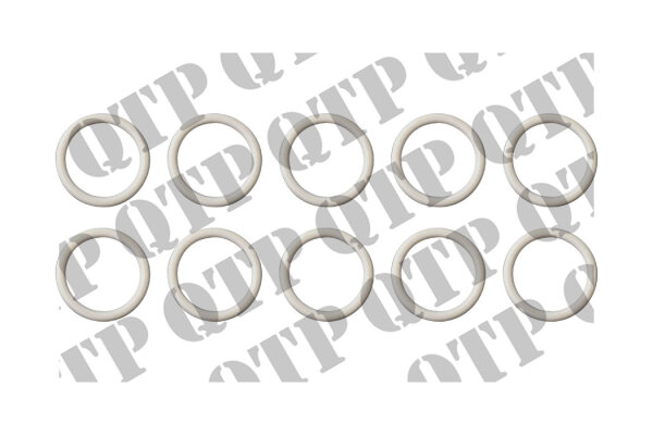 O-Ring