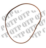Bremsscheide O-Ring