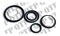 O Ring Kit