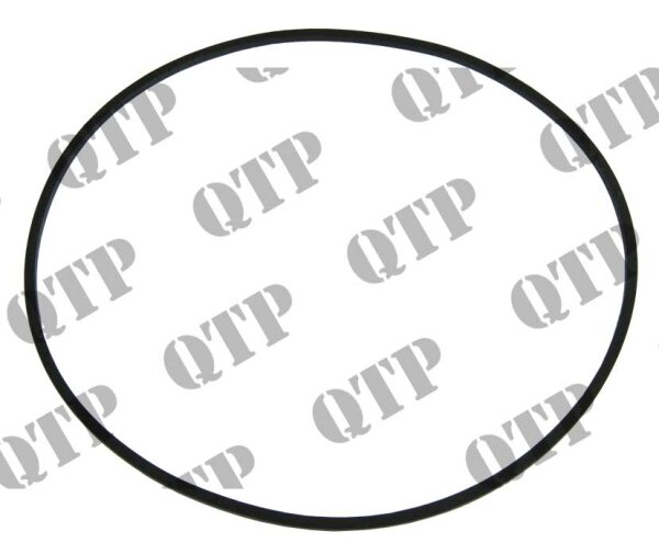 O-Ring