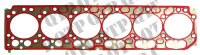 Head Gasket Claas Arion Axion