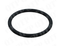Injector pump O Ring Fendt