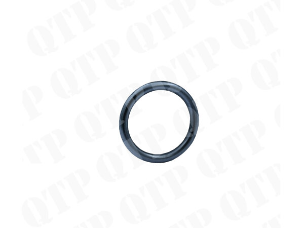 Injector seal Fendt