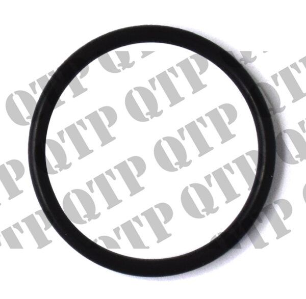 O-Ring