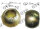 Unterlenkerkugel - Kat 2/2, Massey Ferguson, S.33005, S33005, VLE6143, 3617876M1, 3042429M1