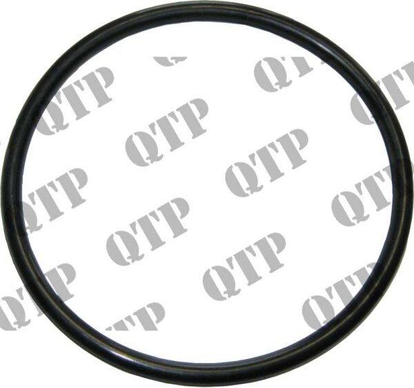 O-Ring Kupplungskolben
