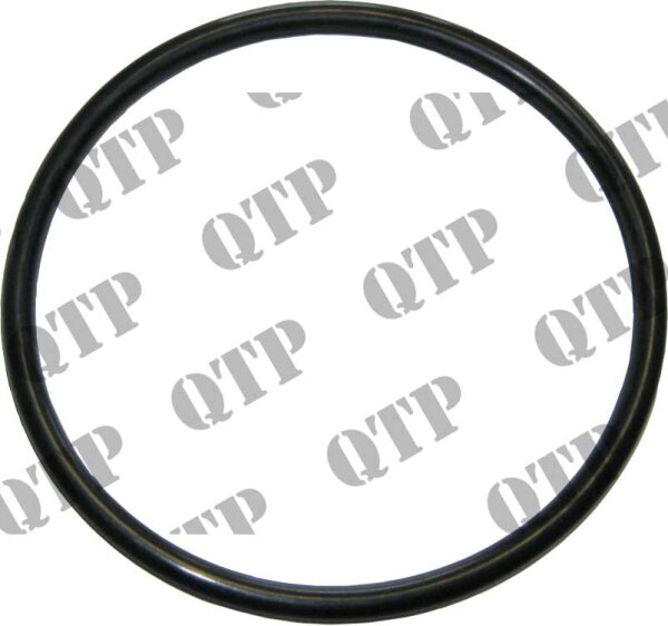 O-Ring Kupplungskolben