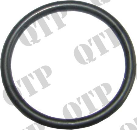 O-Ring