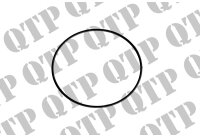 O Ring Input Shaft