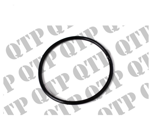 O Ring Input Shaft