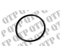 O Ring Input Shaft
