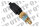 Temperature Sensor Transmission