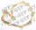 Water Pump Gasket