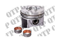 Piston c/w Rings