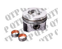 Piston c/w Rings