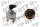 Ignition Switch