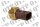 Oil Pressure Sensor Engine